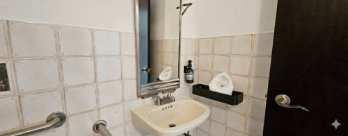 selva_rm_101_bathroom