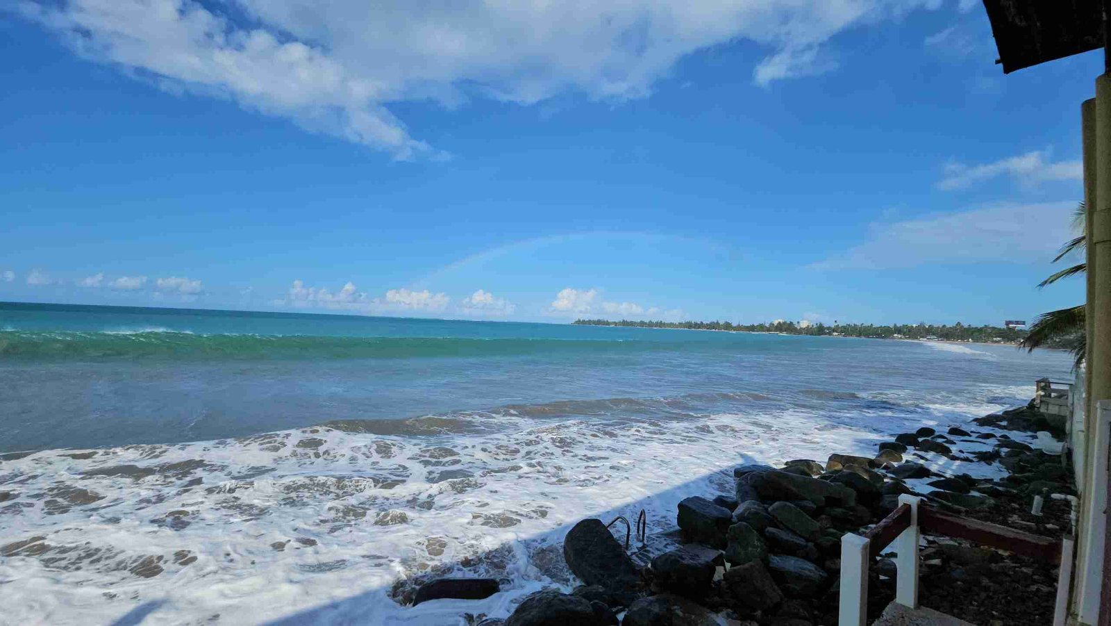 Selva Boutique Hotel is perfectly located on a serene stretch of oceanfront, offering guests a peaceful escape from city life with uninterrupted views of the Caribbean Sea.