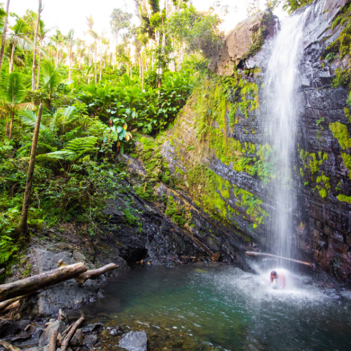 Just a 10-minute drive from Selva Boutique Hotel, El Yunque Rainforest offers a world of adventure. Explore scenic trails, swim in natural pools, and marvel at cascading waterfalls. Whether you're a nature enthusiast or an avid hiker, this tropical escape is a must-see.