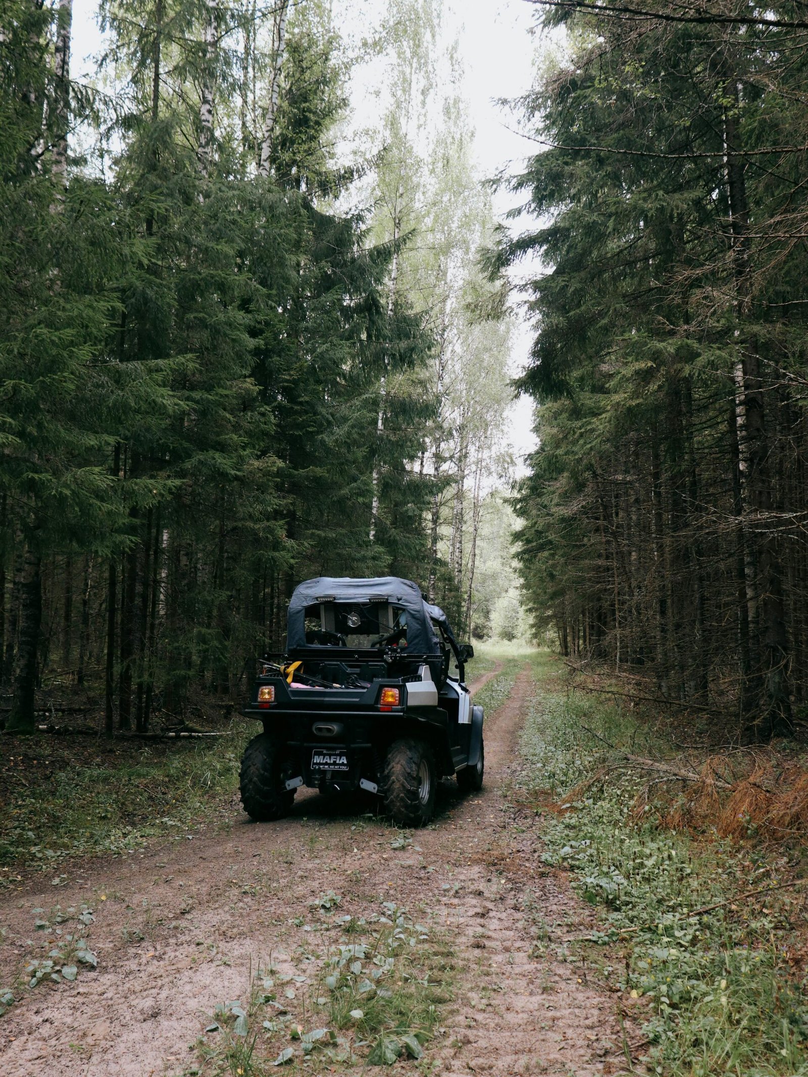 For an exhilarating off-road experience, head to an ATV adventure center just 5 minutes from Selva Boutique Hotel. Ride through rugged trails, explore lush tropical terrain, and discover hidden gems in the countryside. This action-packed activity is perfect for adventurers seeking a fun and unforgettable way to explore Puerto Rico’s natural beauty.